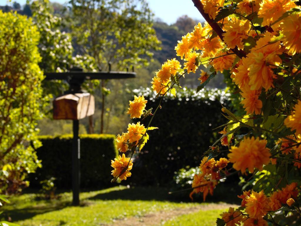 Ermitage Saint Vincent B&B Vieille-Brioude Luaran gambar